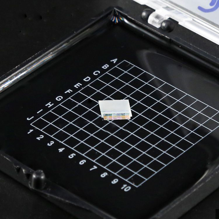 6通道1273-1309nm LWDM6 Z-BLOCK光組件, 800GHz,